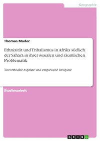 Ethnizität und Tribalismus in Afrika südlich der Sahara in ihrer sozialen und räumlichen Problematik - Thomas Mader - E-Book