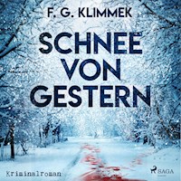 Schnee von gestern (Ungekürzt) - F. G. Klimmek - Hörbuch