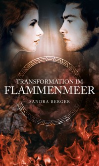 Transformation im Flammenmeer - Sandra Berger - E-Book