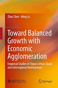 Toward Balanced Growth with Economic Agglomeration - Zhao Chen - E-Book