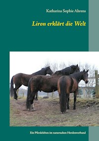Liron erklärt die Welt - Katharina Sophie Ahrens - E-Book
