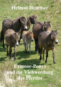 Exmoor-Ponys und die Viehwerdung des Pferdes - Helmut Hemmer - E-Book