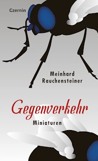 Gegenverkehr - Meinhard Rauchensteiner - E-Book