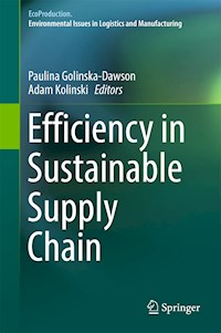 Efficiency in Sustainable Supply Chain - - E-Book