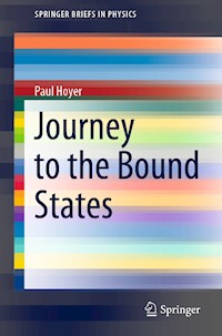 Journey to the Bound States - Paul Hoyer - E-Book