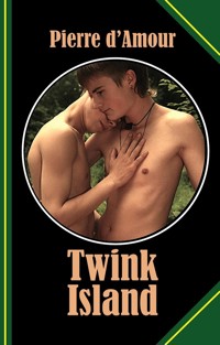 Twink Island - Pierre d&apos, Amour - E-Book