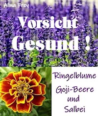 Vorsicht Gesund!! - Alina Frey - E-Book