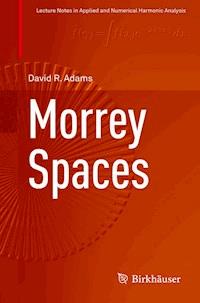 Morrey Spaces - David Adams - E-Book