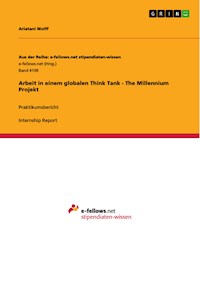 Arbeit in einem globalen Think Tank - The Millennium Projekt - Ariatani Wolff - E-Book