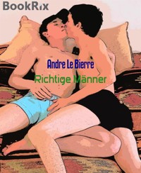 Richtige Männer - Andre Le Bierre - E-Book