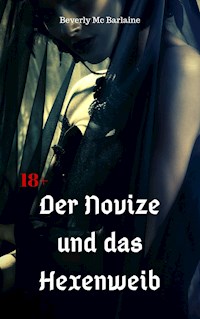 Der Novize und das Hexenweib - Beverly Mc Barlaine - E-Book