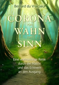 Corona - vom Wahn zum Sinn - Bernard de Vraicoeur - E-Book
