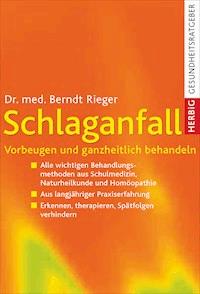 Schlaganfall - Berndt Rieger - E-Book