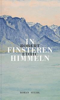In finsteren Himmeln - Robert Edric - E-Book