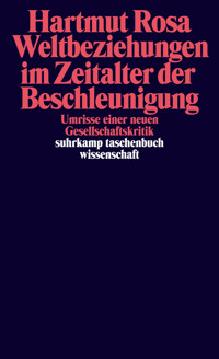 Weltbeziehungen im Zeitalter der Beschleunigung - Hartmut Rosa - E-Book