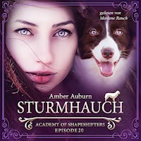 Sturmhauch, Episode 20 - Fantasy-Serie - Amber Auburn - Hörbuch