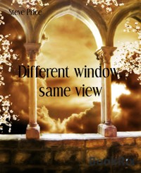 Different window, same view - Steve Price - E-Book