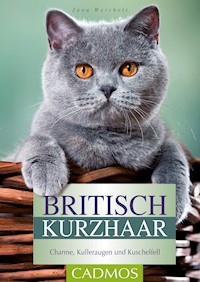 Britisch Kurzhaar - Jana Weichelt - E-Book
