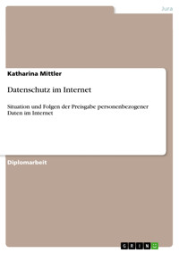 Datenschutz im Internet - Katharina Mittler - E-Book