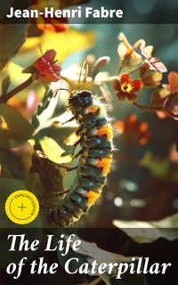 The Life of the Caterpillar - Jean-Henri Fabre - E-Book