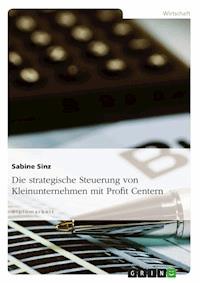 Die strategische Steuerung von Kleinunternehmen mit Profit Centern - Sabine Sinz - E-Book