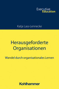 Herausgeforderte Organisationen - Katja Lass-Lennecke - E-Book