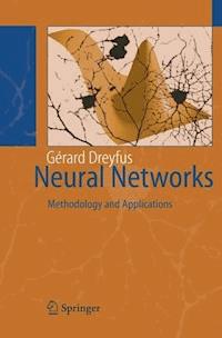 Neural Networks - Gérard Dreyfus - E-Book