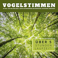 Vogelstimmen im Wald: Sanfte Naturgeräusche zum Einschlafen, Entspannen, Meditieren - Naturgeräusche Archiv Potsdam - Hörbuch