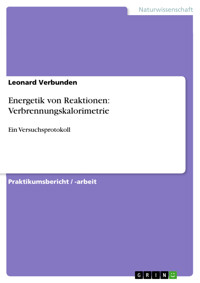 Energetik von Reaktionen: Verbrennungskalorimetrie - Leonard Verbunden - E-Book