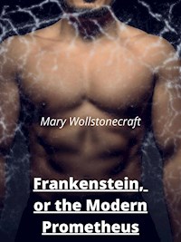 Frankenstein,  or the Modern Prometheus - Mary Wollstonecraft (godwin) Shelley - E-Book