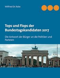 Tops und Flops der Bundestagskandidaten 2017 - Wilfried Rabe - E-Book