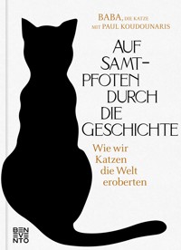 Auf Samtpfoten durch die Geschichte - die Katze Baba - E-Book