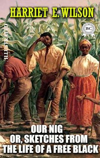 Our Nig; Or, Sketches from the Life of a Free Black. Illustrated - Harriet E. Wilson - E-Book
