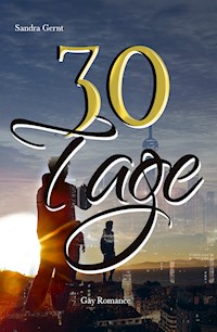 Dreißig Tage - Sandra Gernt - E-Book