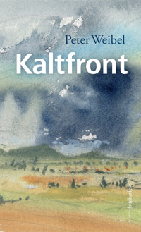 Kaltfront - Weibel Peter - E-Book
