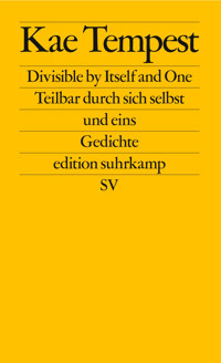 Divisible by Itself and One / Teilbar durch sich selbst und eins - Kae Tempest - E-Book