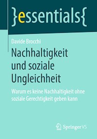 Nachhaltigkeit und soziale Ungleichheit - Davide Brocchi - E-Book