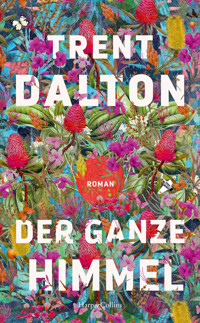 Der ganze Himmel - Trent Dalton - E-Book