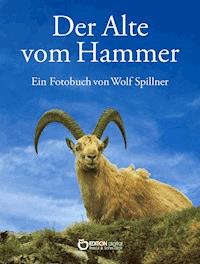 Der Alte vom Hammer - Wolf Spillner - E-Book