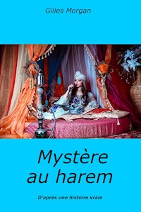 Mystère au harem - Gilles Morgan - E-Book