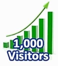 1,000 Visitors in One Month - Ouvrage Collectif - E-Book