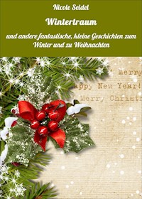 Wintertraum - Nicole Seidel - E-Book