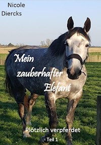 Mein zauberhafter Elefant - Nicole Diercks - E-Book