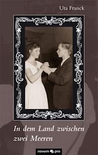 In dem Land zwischen zwei Meeren - Uta Franck - E-Book