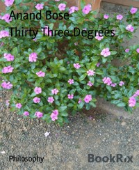 Thirty Three Degrees - Anand Bose - E-Book