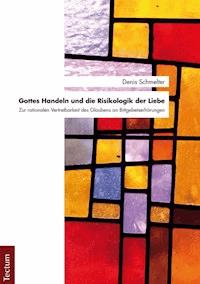 Gottes Handeln und die Risikologik der Liebe - Denis Schmelter - E-Book