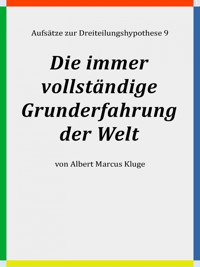 Die immer vollständige Grunderfahrung der Welt - Albert Marcus Kluge - E-Book