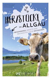 Herzstücke Allgäu - Alexander Pohle - E-Book
