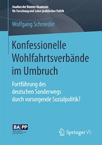 Konfessionelle Wohlfahrtsverbände im Umbruch - Wolfgang Schroeder - E-Book