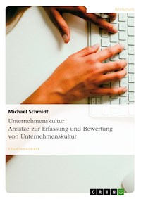 Unternehmenskultur. Ansätze zur Erfassung und Bewertung für Unternehmen - Michael Schmidt - E-Book